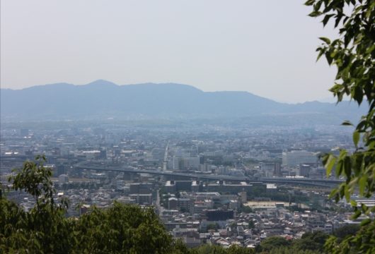 伏見稲荷大社頂上付近景色