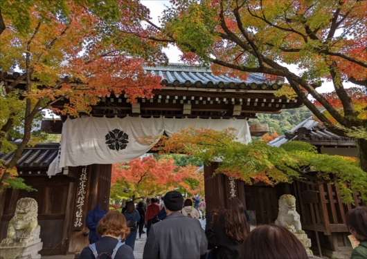 京都永観堂山門