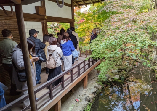 永観堂の混雑