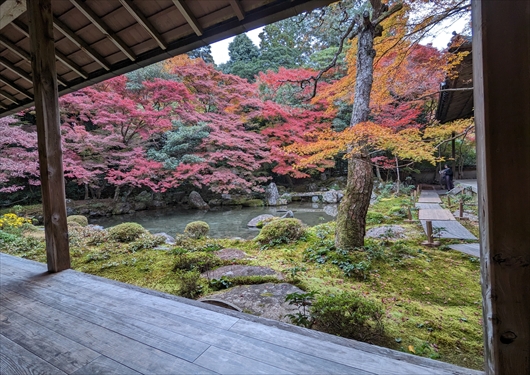 蓮華寺の庭園(紅葉)