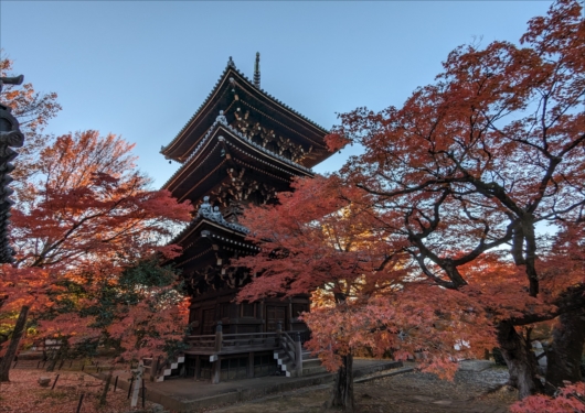 真如堂の三重塔と紅葉