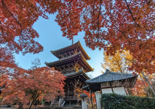 真如堂の三重塔と紅葉
