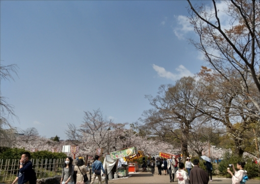 円山公園の屋台