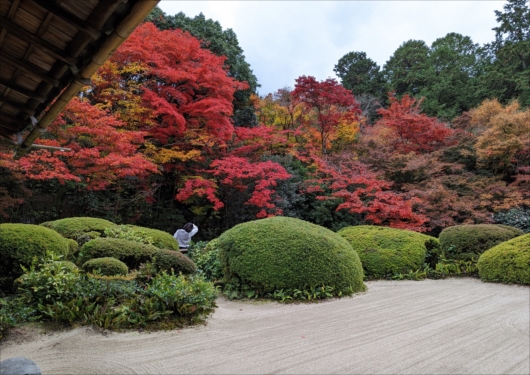 京都詩仙堂の紅葉庭園