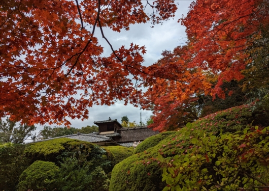 京都詩仙堂の紅葉