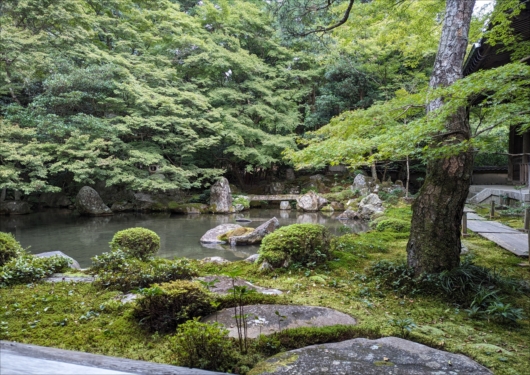 京都蓮華寺庭園