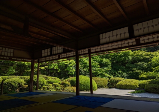 京都詩仙堂の新緑の庭園