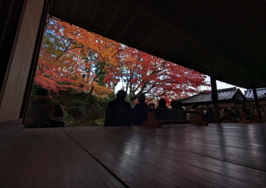 栄摂院の紅葉