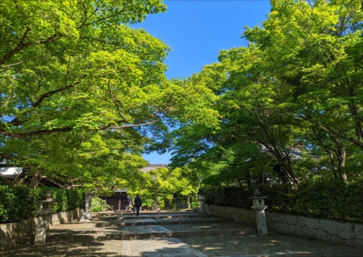 真如堂の参道