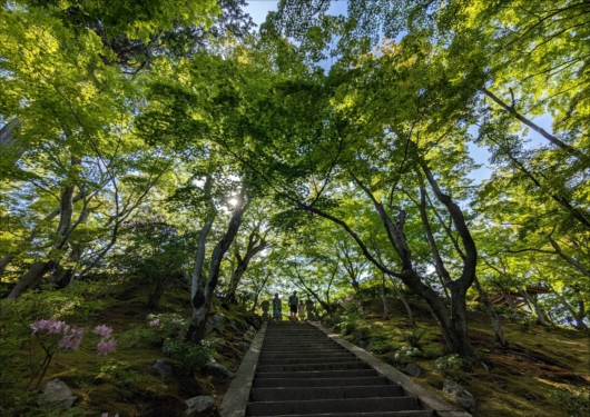 常寂光寺の階段