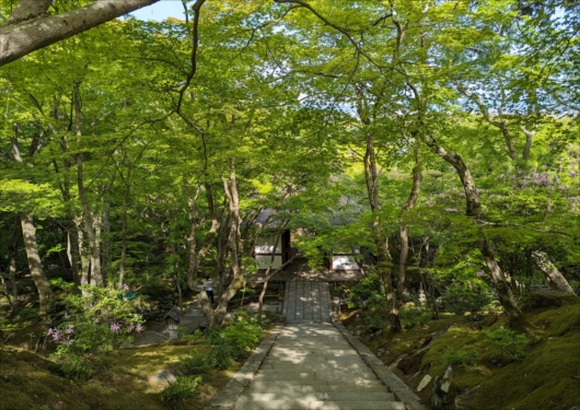 常寂光寺の仁王門裏
