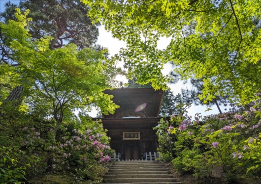 常寂光寺の多宝塔