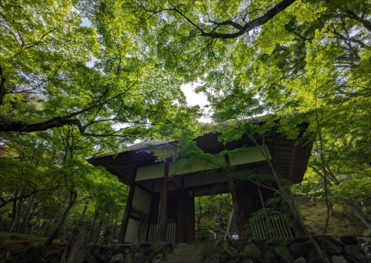 常寂光寺の仁王門