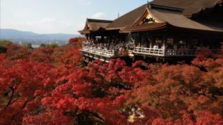 清水寺の紅葉と清水の舞台