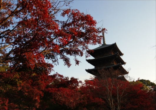 東寺五重塔と紅葉