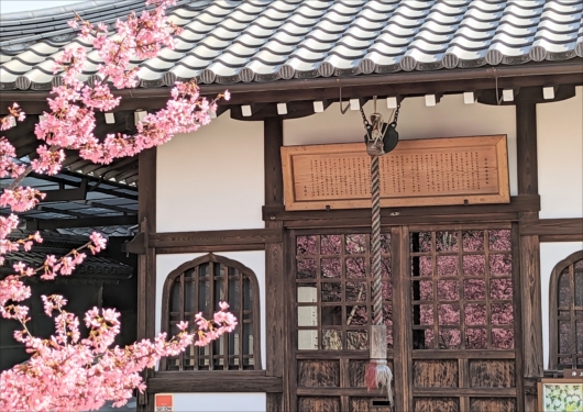 長徳寺のおかめ桜と地蔵堂