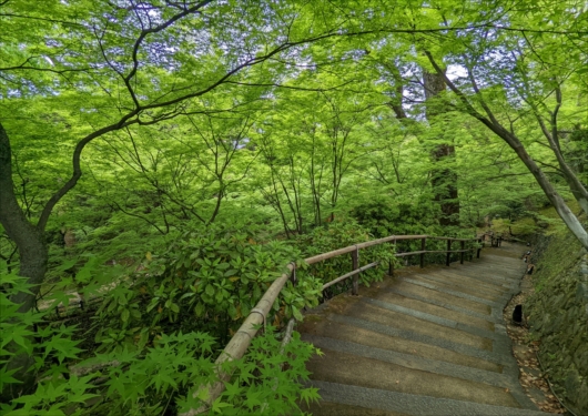 北野天満宮青もみじ苑入口