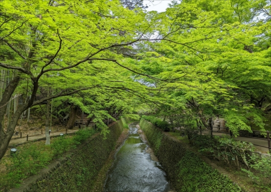 北野天満宮の御土居