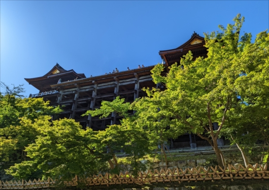 清水寺の舞台を下から