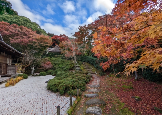 京都金福寺の紅葉