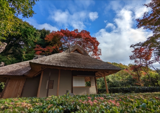 京都金福寺の芭蕉庵