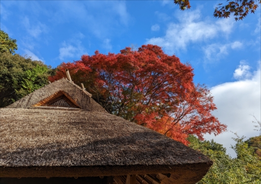 京都金福寺の芭蕉庵