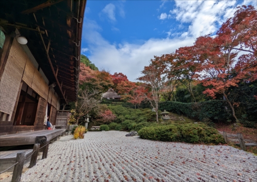 京都金福寺庭園