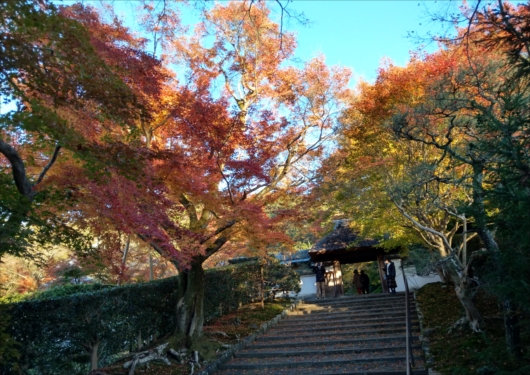 京都安楽寺山門前