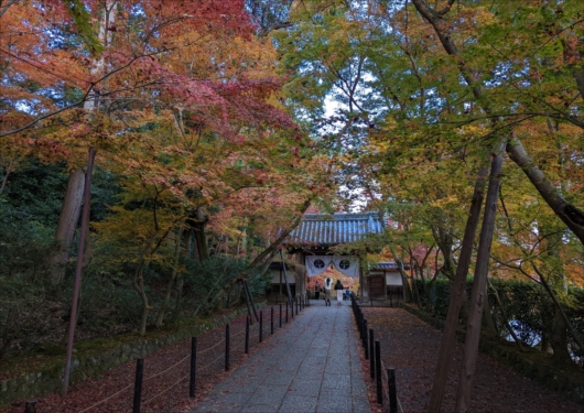 光明寺のもみじ参道