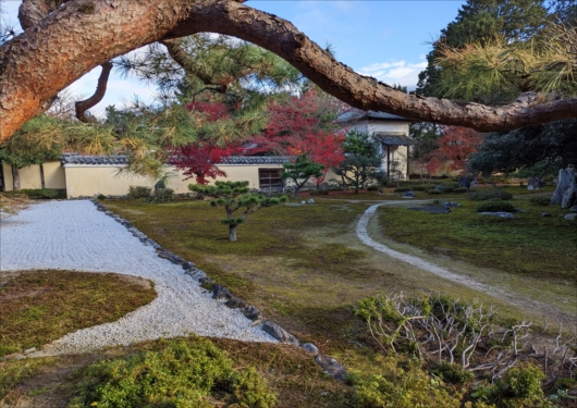 京都鹿王院庭園