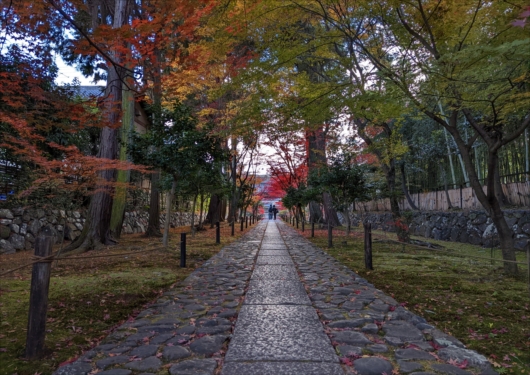 鹿王院の参道
