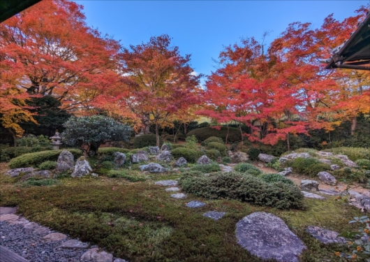 源光庵の庭園と紅葉