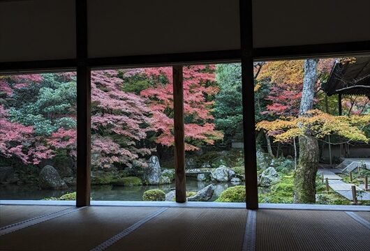 蓮華寺の庭園(紅葉)