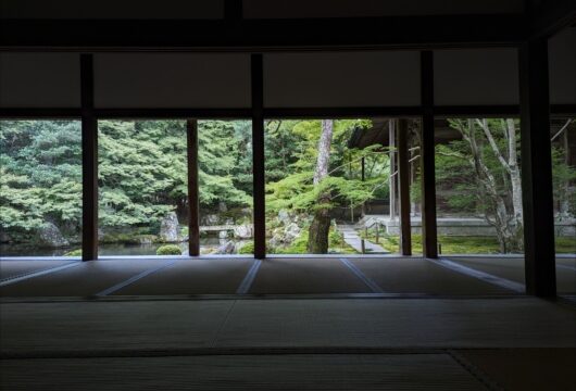 京都蓮華寺の庭園