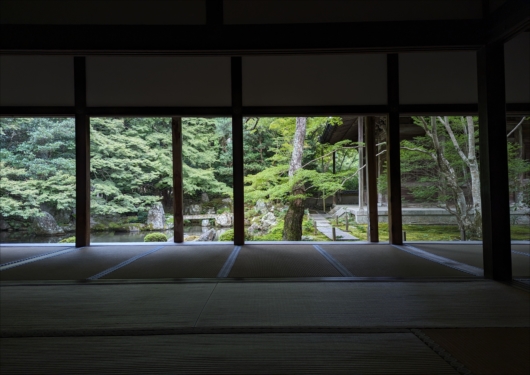 京都蓮華寺の庭園