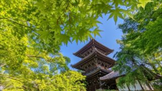 真如堂の三重塔(新緑)