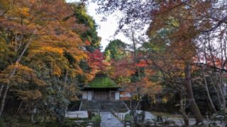 法然院の紅葉