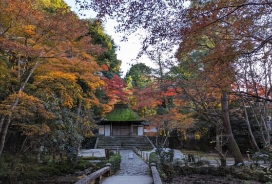 法然院の紅葉