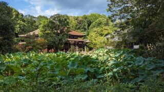 法界寺の阿弥陀堂