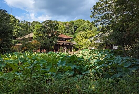 法界寺の阿弥陀堂