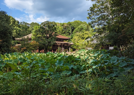 法界寺の阿弥陀堂